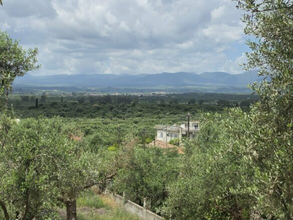Plot Of 883.77 M² In Aithaia, Messinia, Peloponnese