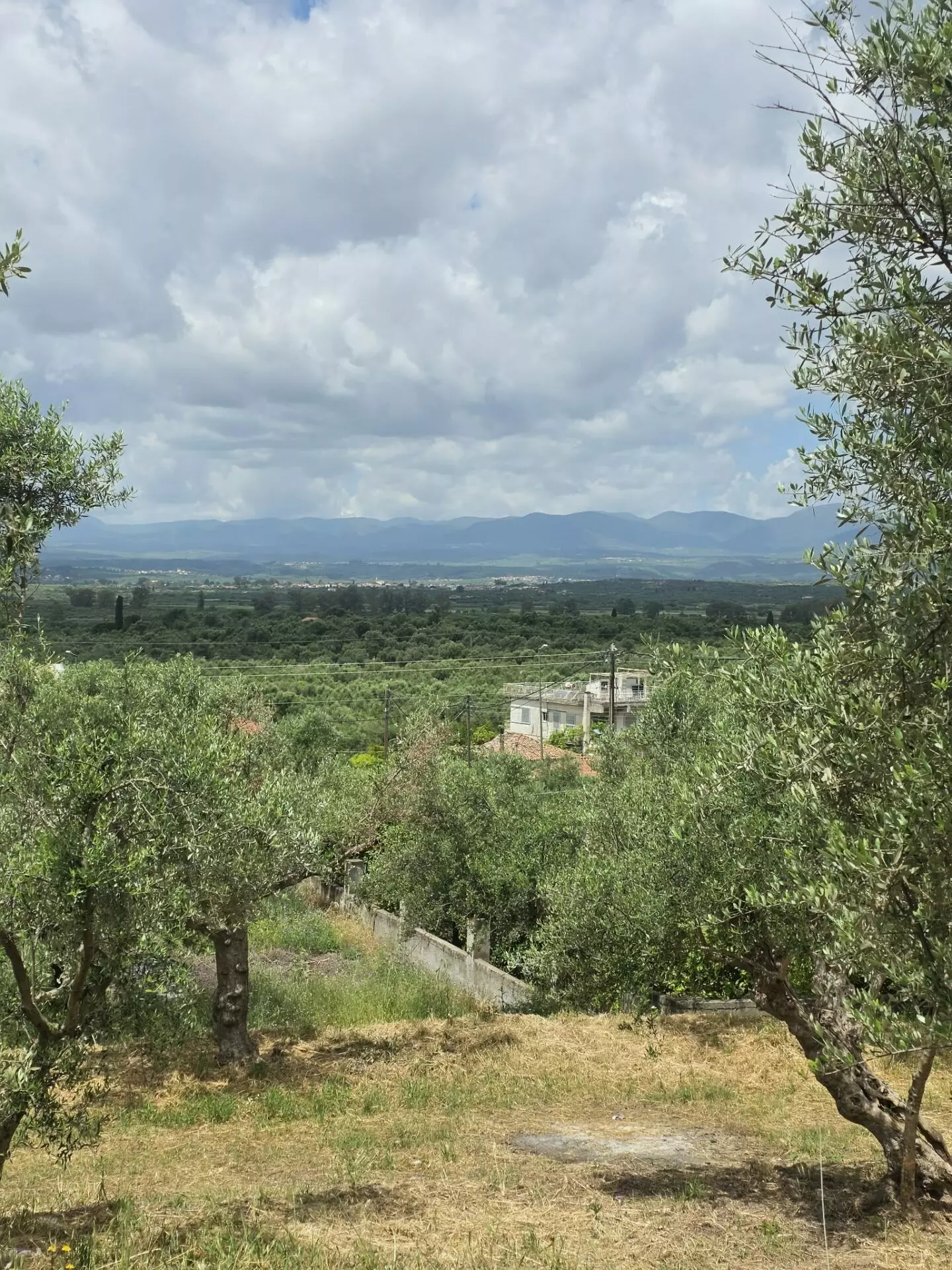 Plot Of 883.77 M² In Aithaia, Messinia, Peloponnese