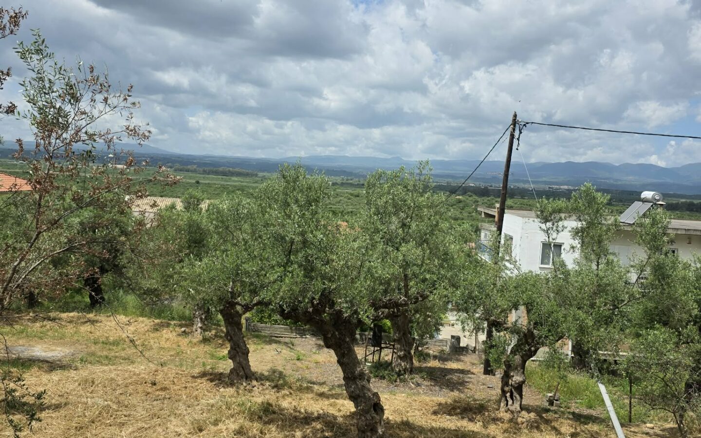 Plot Of 883.77 M² In Aithaia, Messinia, Peloponnese