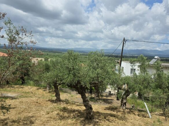Plot Of 883.77 M² In Aithaia, Messinia, Peloponnese