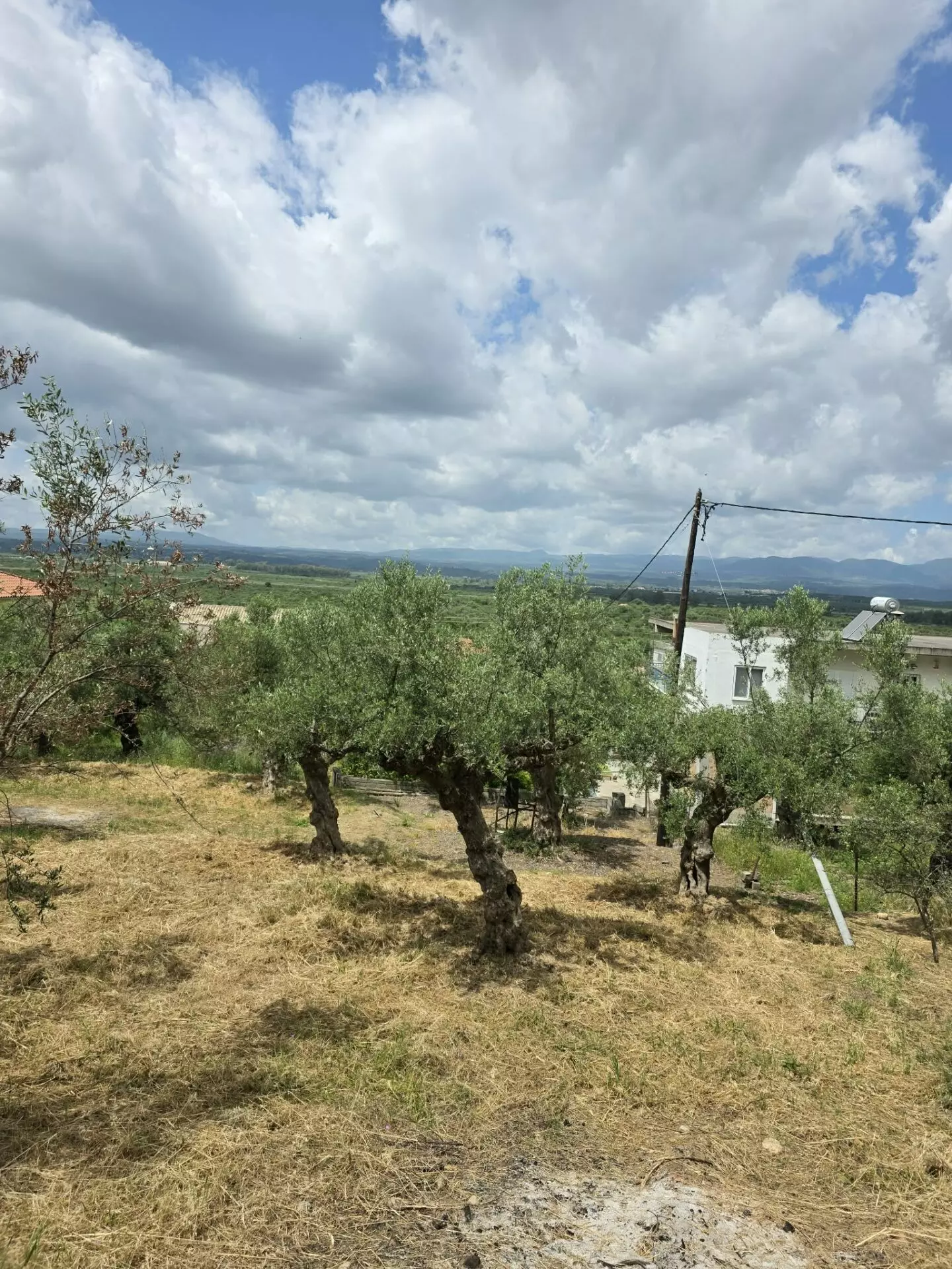 Plot Of 883.77 M² In Aithaia, Messinia, Peloponnese