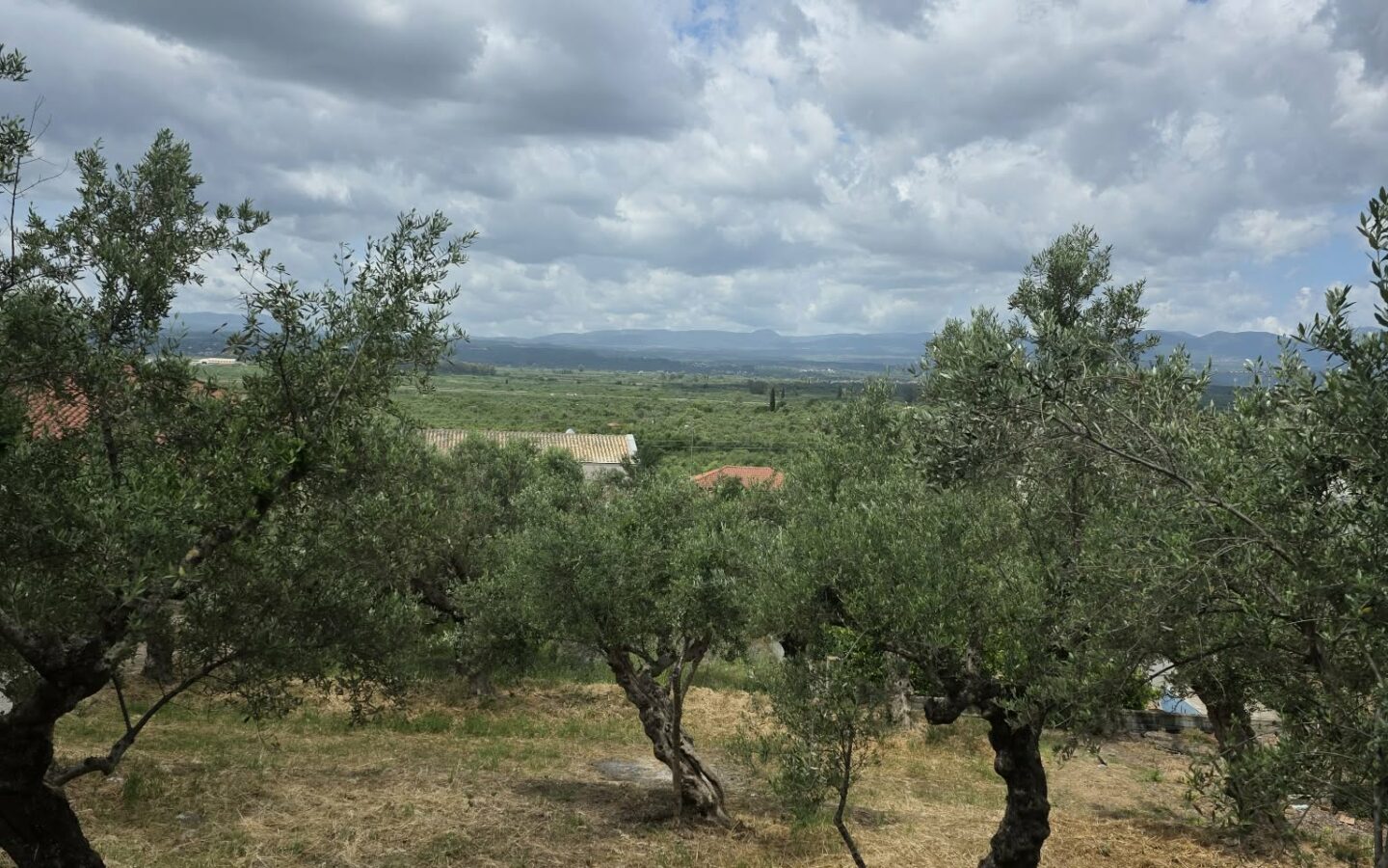 Plot Of 883.77 M² In Aithaia, Messinia, Peloponnese