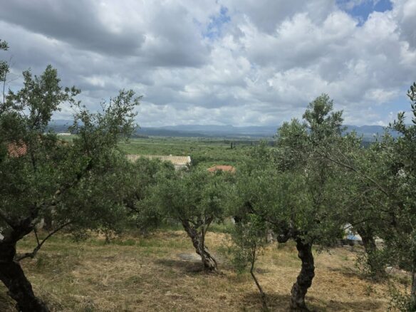 Plot Of 883.77 M² In Aithaia, Messinia, Peloponnese