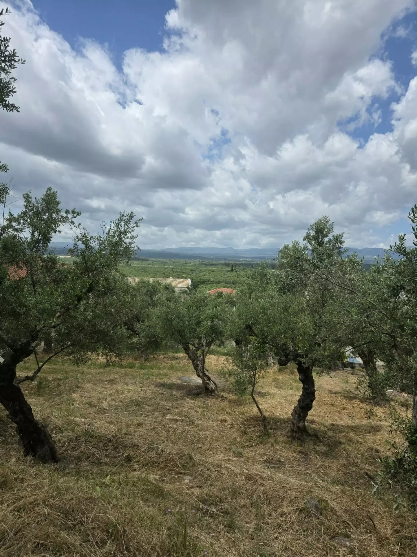 Plot Of 883.77 M² In Aithaia, Messinia, Peloponnese