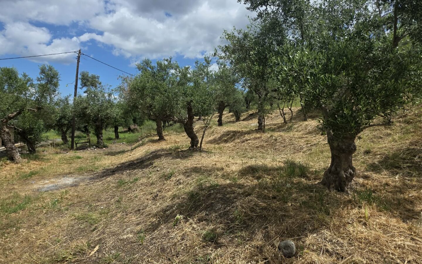 Plot Of 883.77 M² In Aithaia, Messinia, Peloponnese