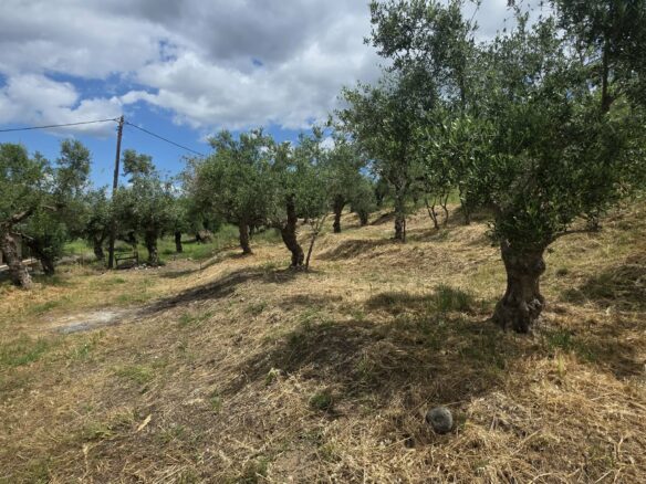 Plot Of 883.77 M² In Aithaia, Messinia, Peloponnese