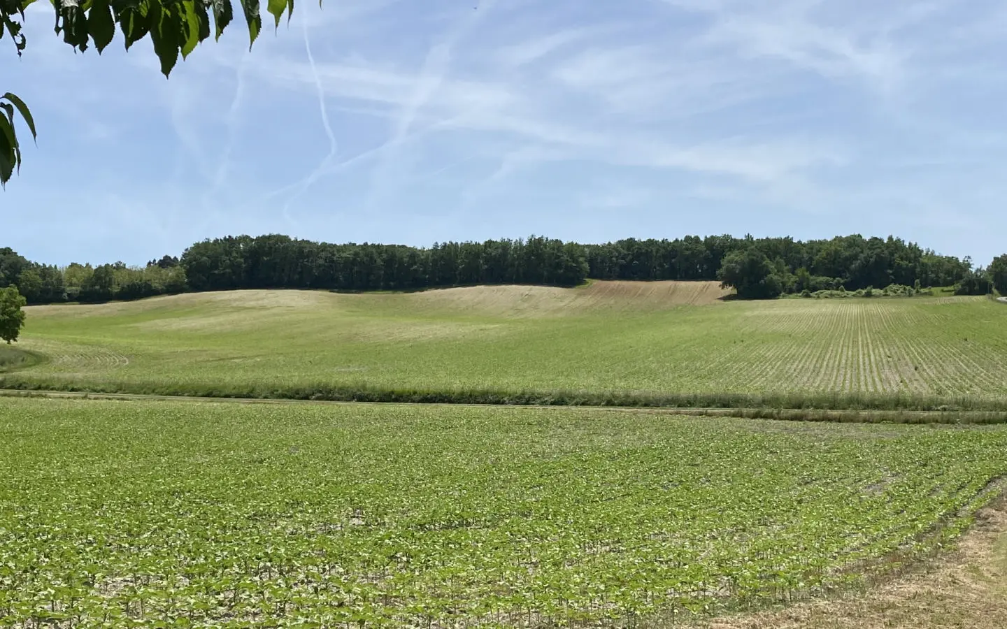 4-bedroom House In Laprade, France (154 M²)