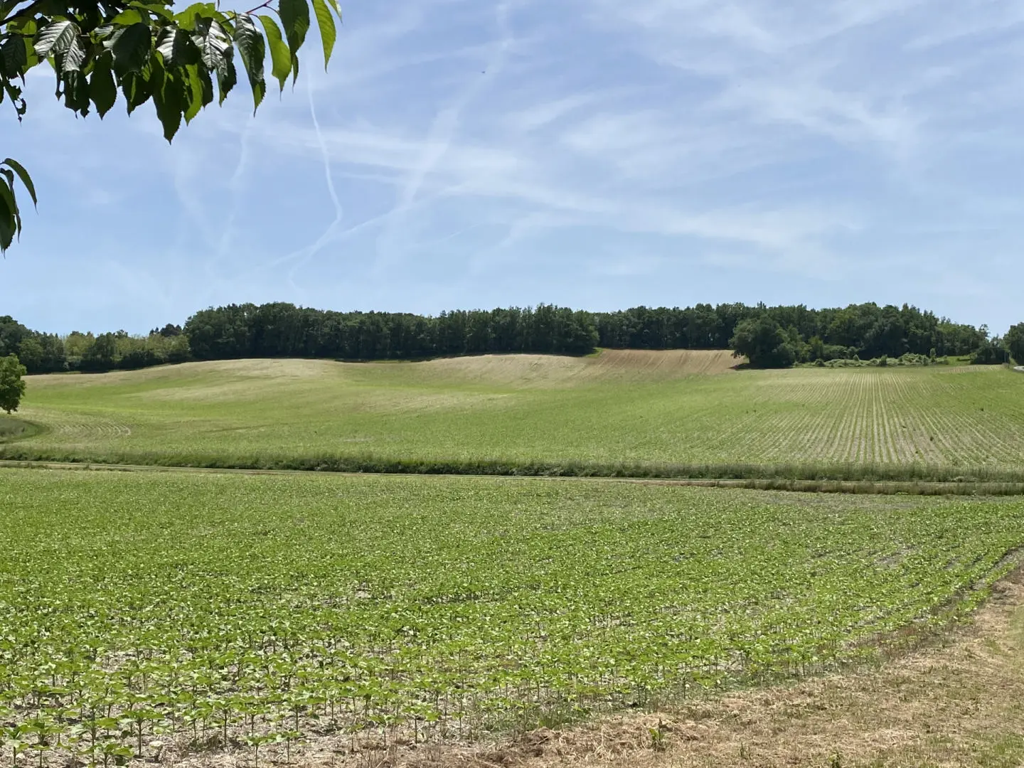 House Of 4 Bedrooms With Countryside Views In Charente Hamlet