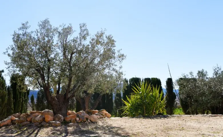 Country House Of 160 M² In Spain
