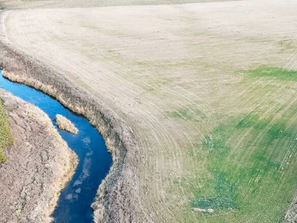 Farm Of X M² With Farm In Cremona, Alberta, Canada