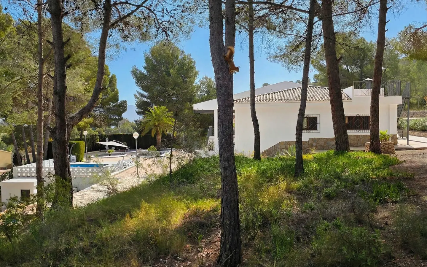 Detached Villa Of 414 M² In Monovar, Spain