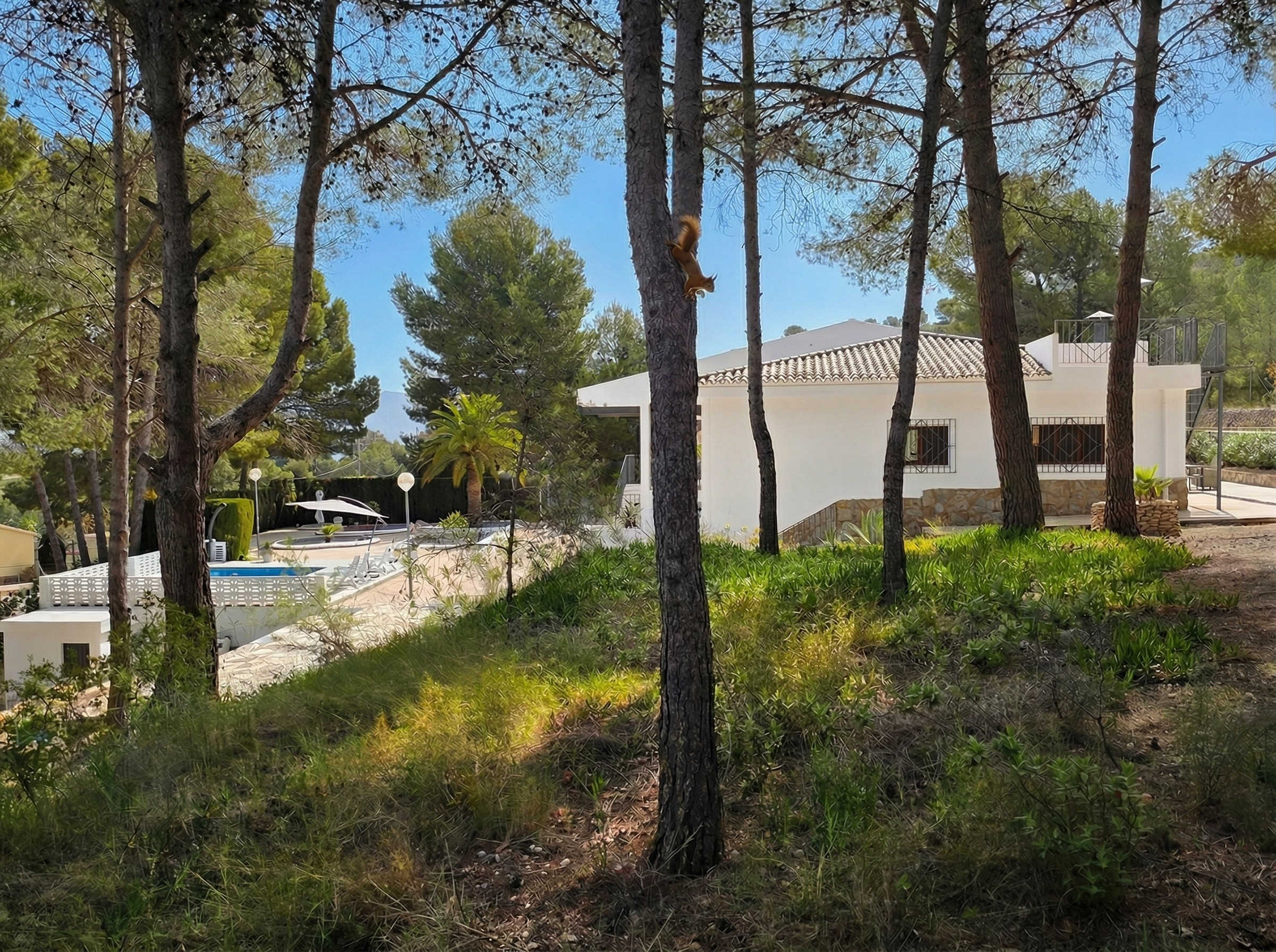 Detached Villa Of 414 M² In Monovar, Spain