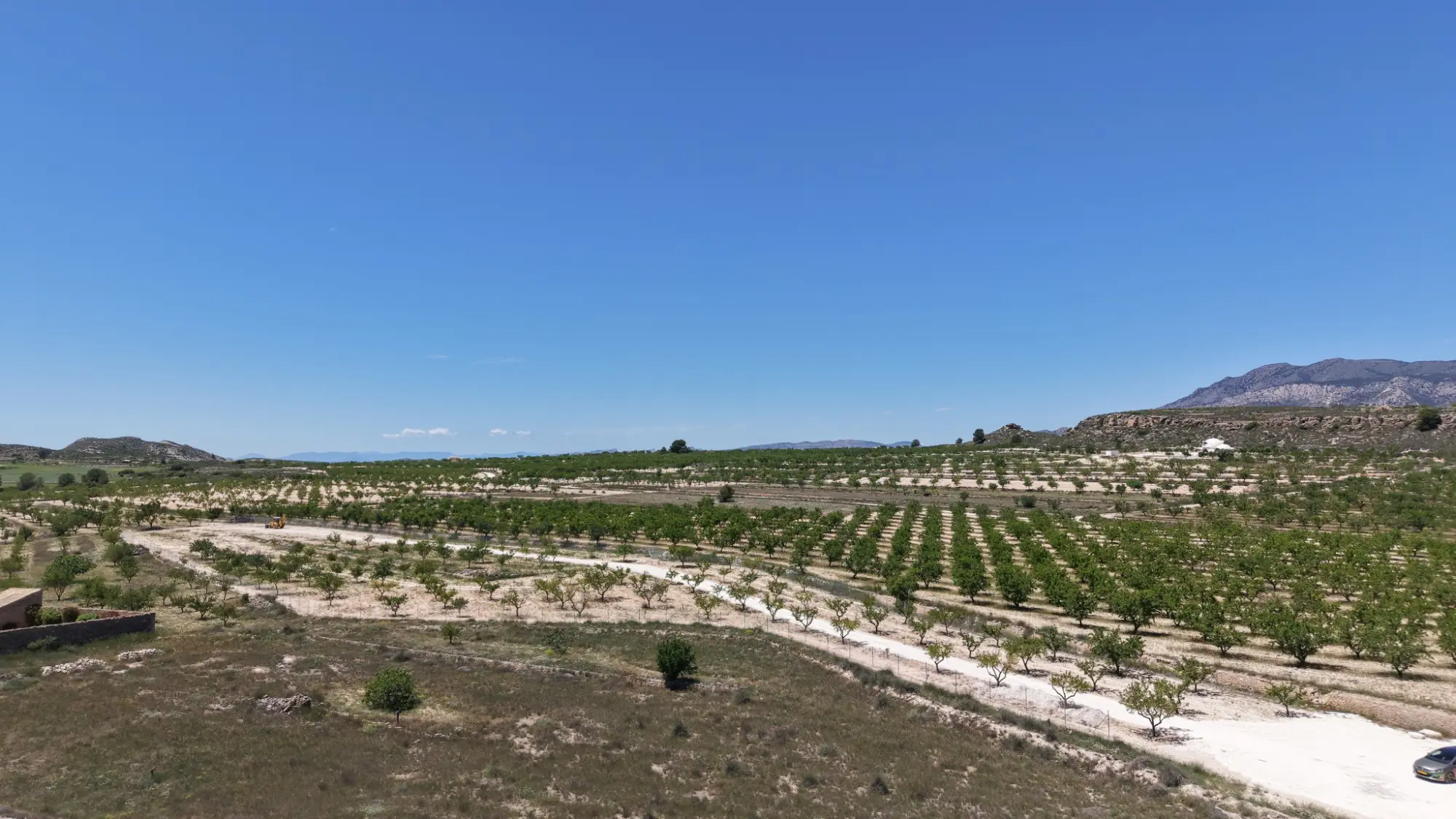Land Of 0 M² In Pinoso, Spain