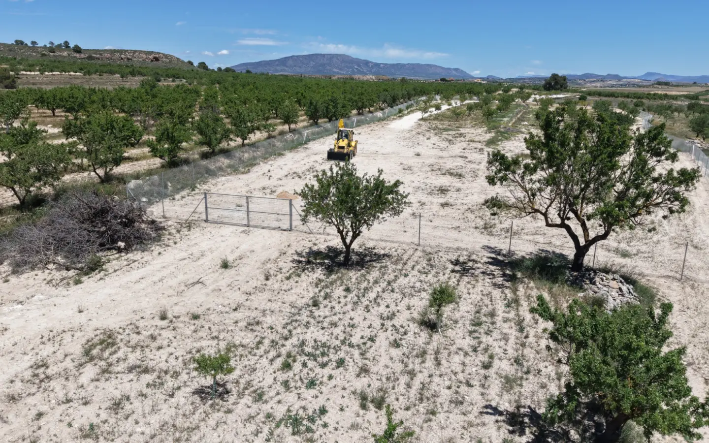 Land 0 M² In Pinoso, Spain