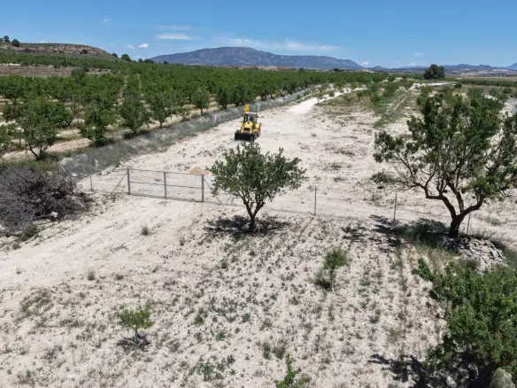 Land In Pinoso, Spain (17.589 M² Plot)