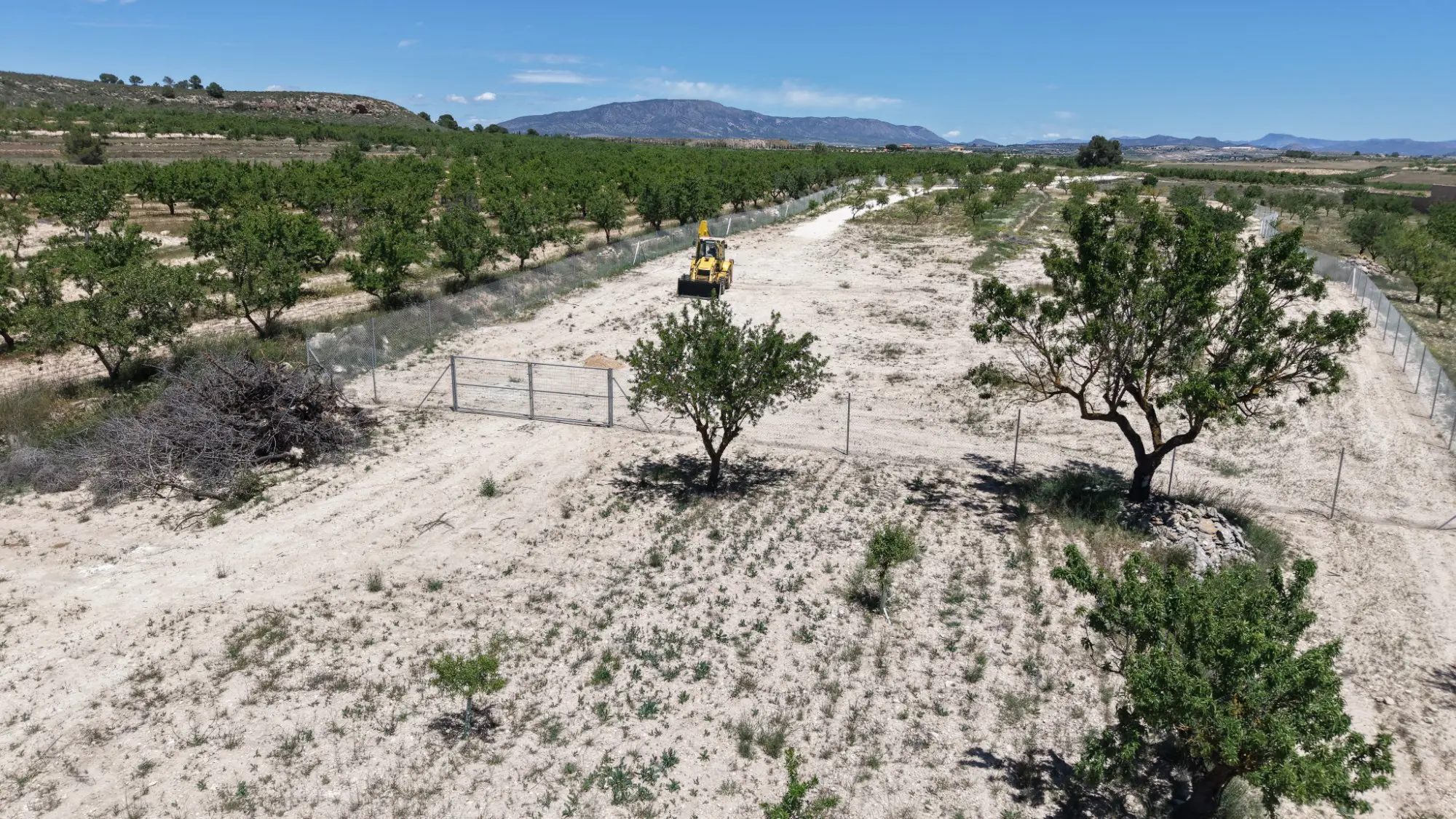 Land Of 0 M² In Pinoso, Spain