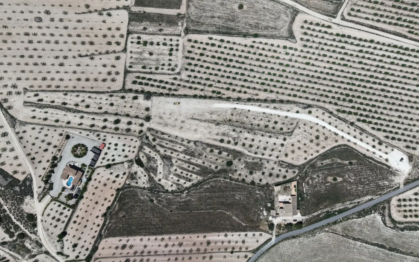 Land 0 M² In Pinoso, Spain