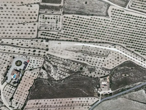 Land In Pinoso, Spain (17.589 M² Plot)