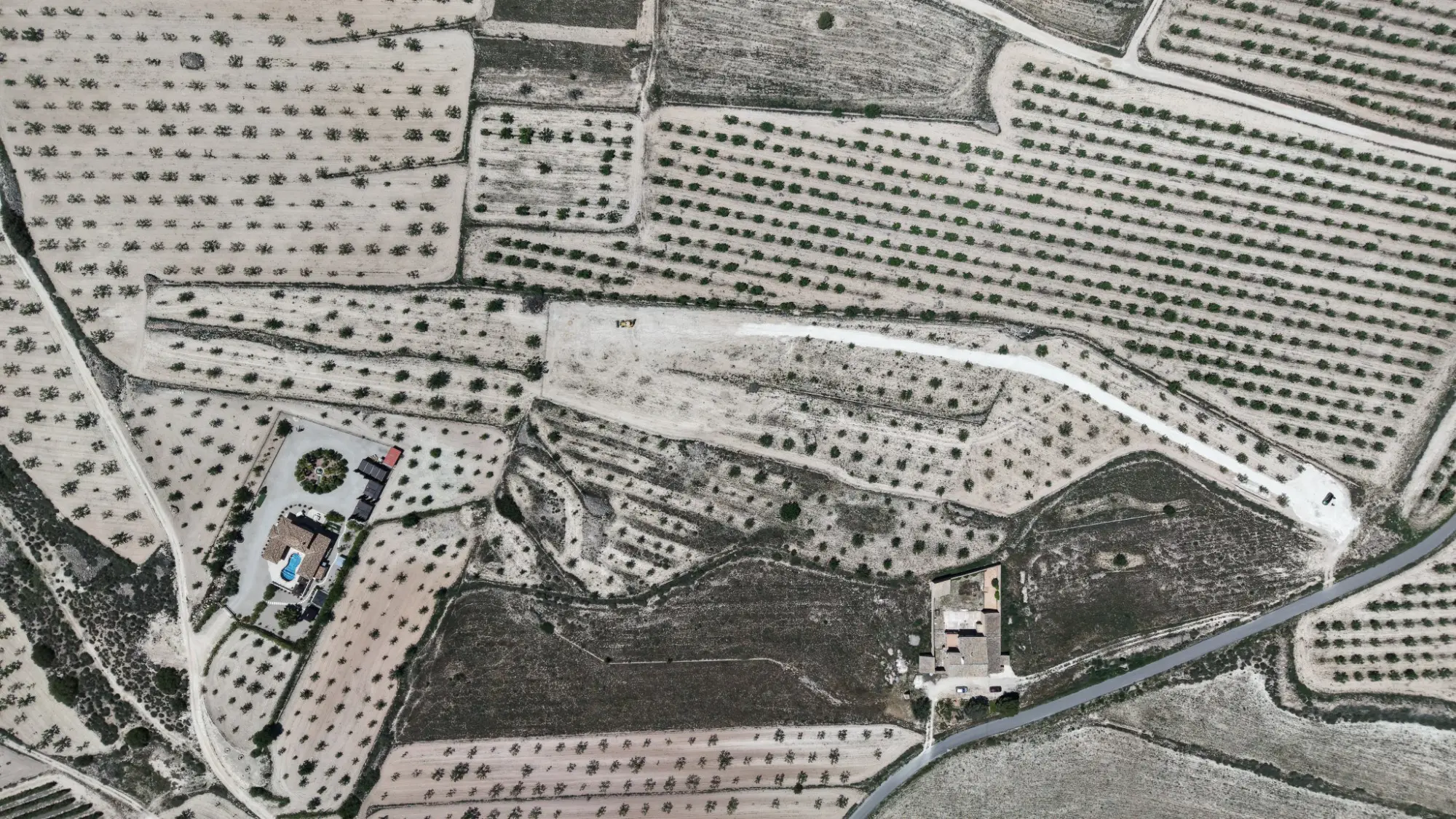 Land Of 0 M² In Pinoso, Spain