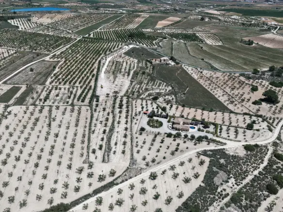 Land In Pinoso, Spain (17.589 M² Plot)