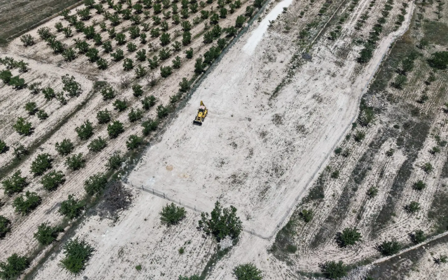 Land 0 M² In Pinoso, Spain