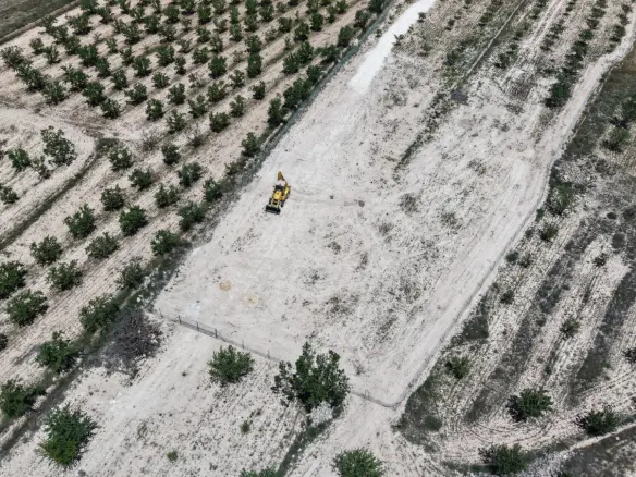 Land In Pinoso, Spain (17.589 M² Plot)