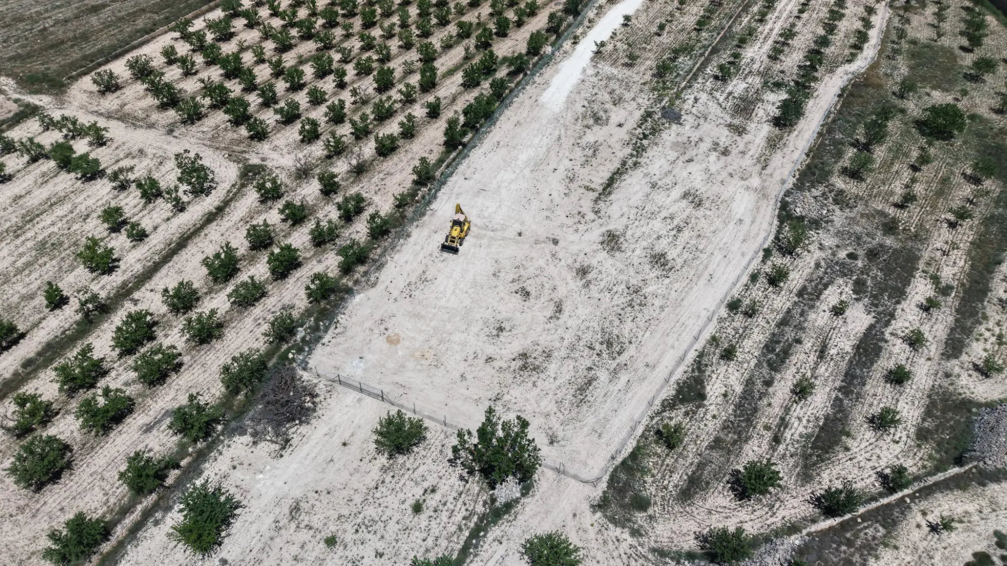 Land Of 0 M² In Pinoso, Spain