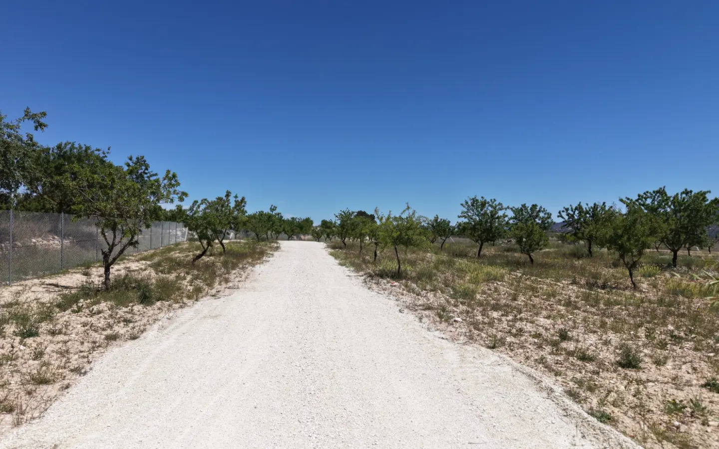 Land 0 M² In Pinoso, Spain