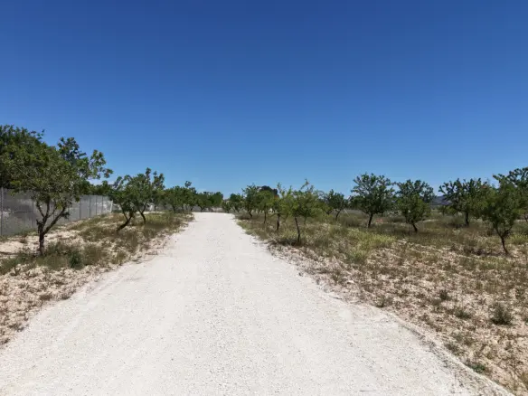 Land In Pinoso, Spain (17.589 M² Plot)