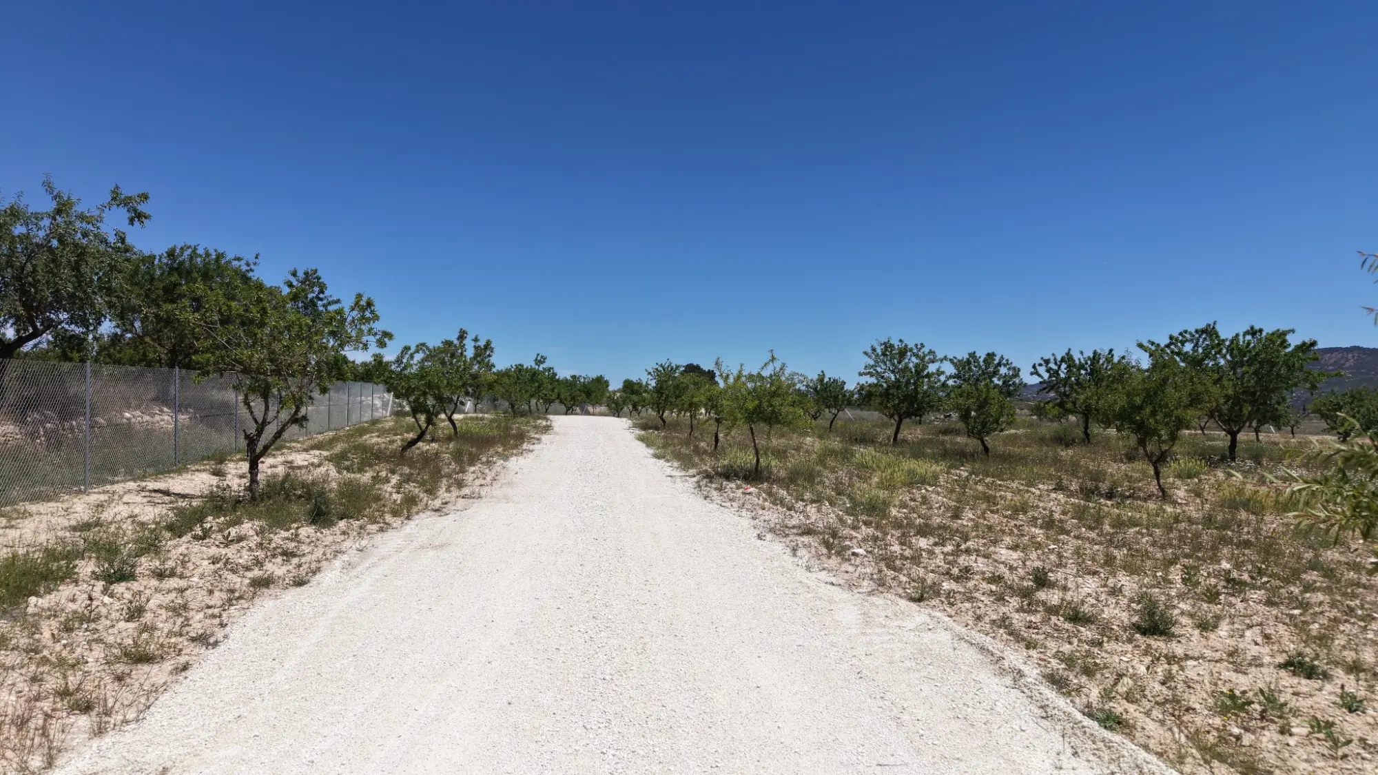 Land Of 0 M² In Pinoso, Spain