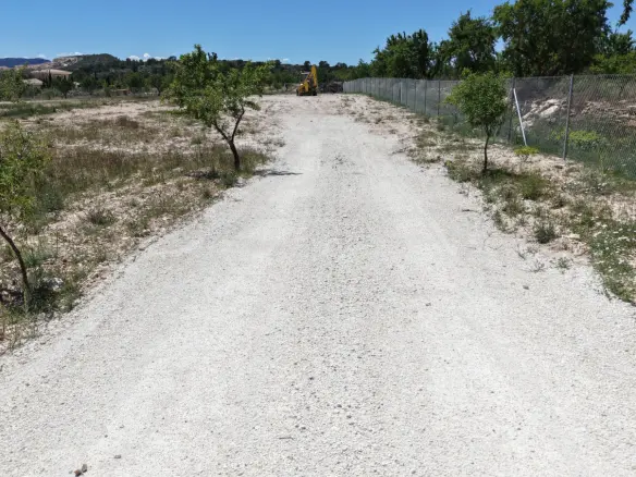 Land In Pinoso, Spain (17.589 M² Plot)