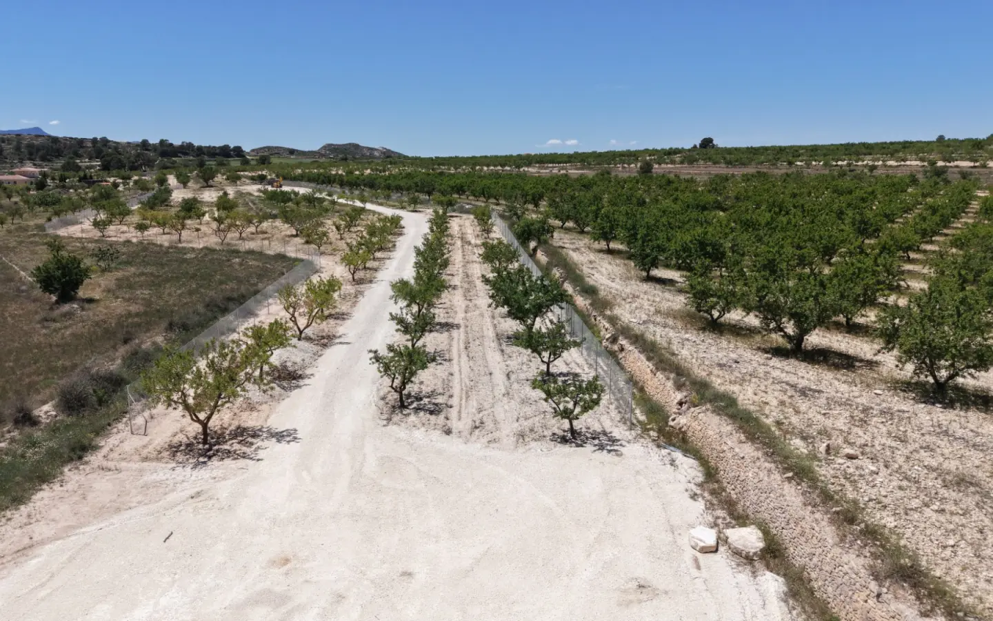 Land 0 M² In Pinoso, Spain