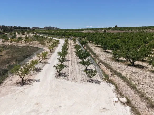 Land In Pinoso, Spain (17.589 M² Plot)