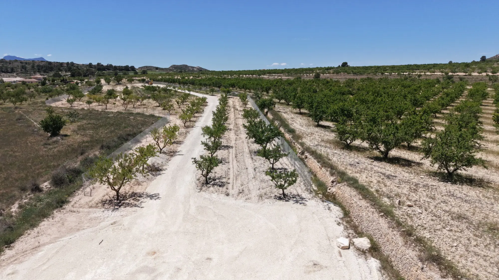 Land Of 0 M² In Pinoso, Spain