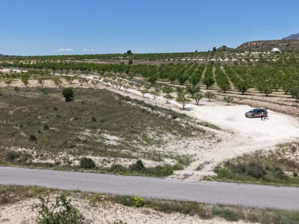 Land In Pinoso, Spain (17.589 M² Plot)