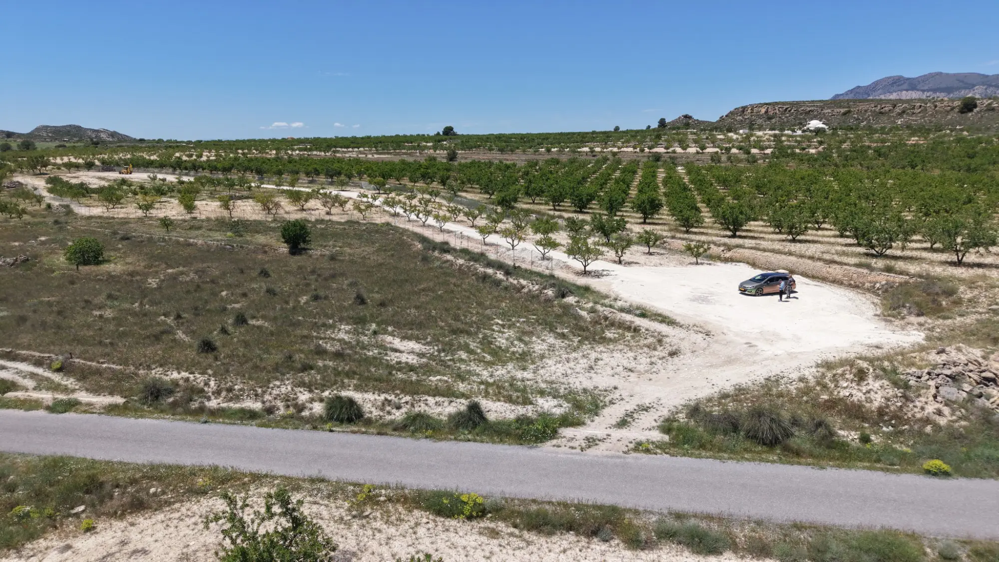 Land Of 0 M² In Pinoso, Spain