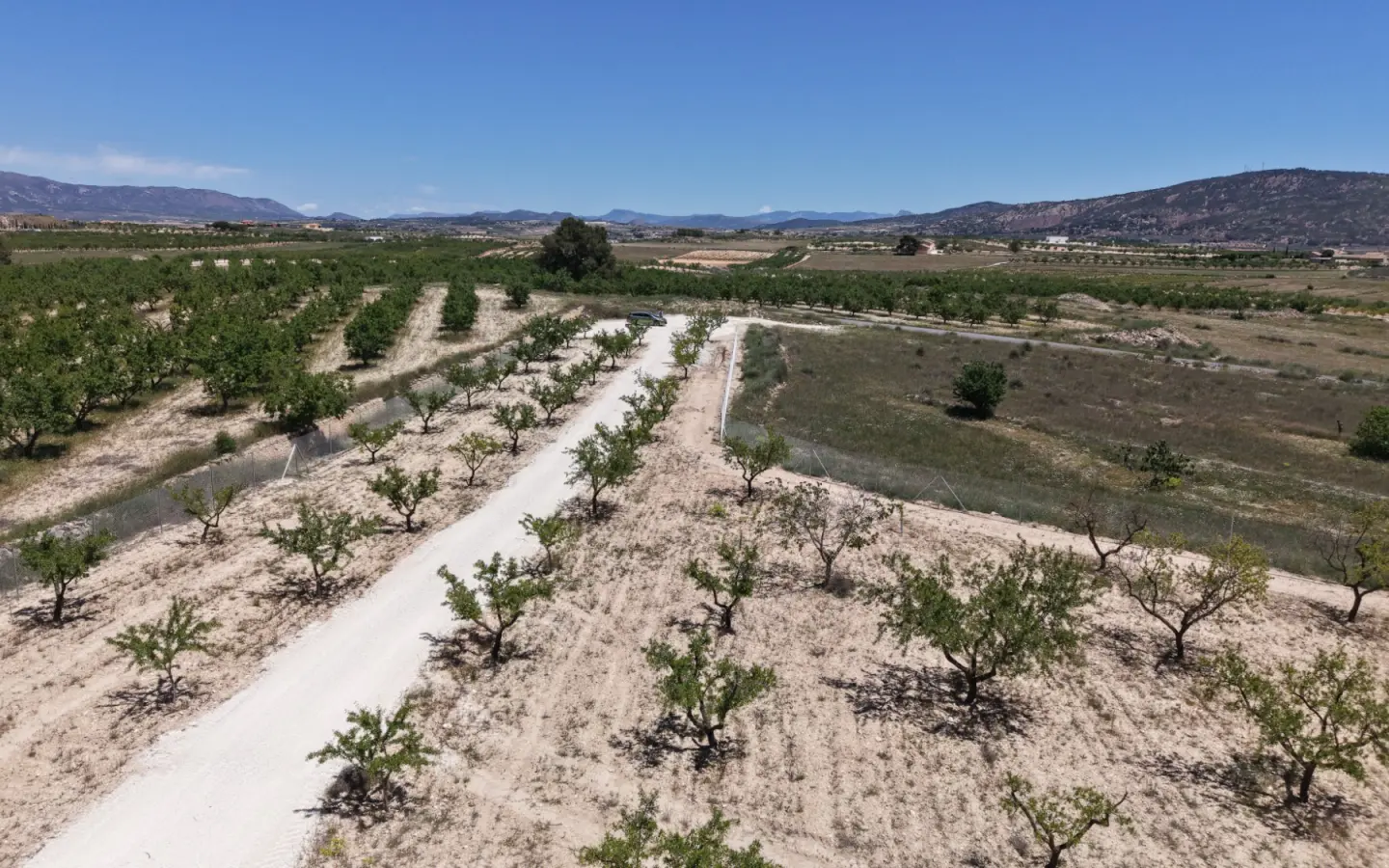 Land 0 M² In Pinoso, Spain