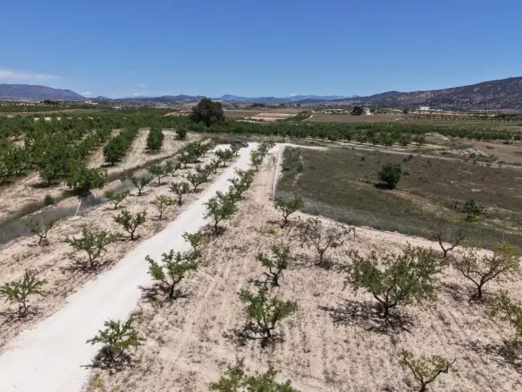 Land In Pinoso, Spain (17.589 M² Plot)