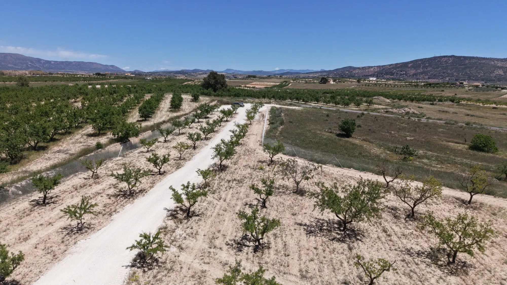 Land Of 0 M² In Pinoso, Spain