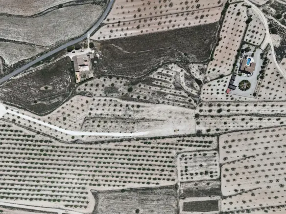 Land In Pinoso, Spain (17.589 M² Plot)