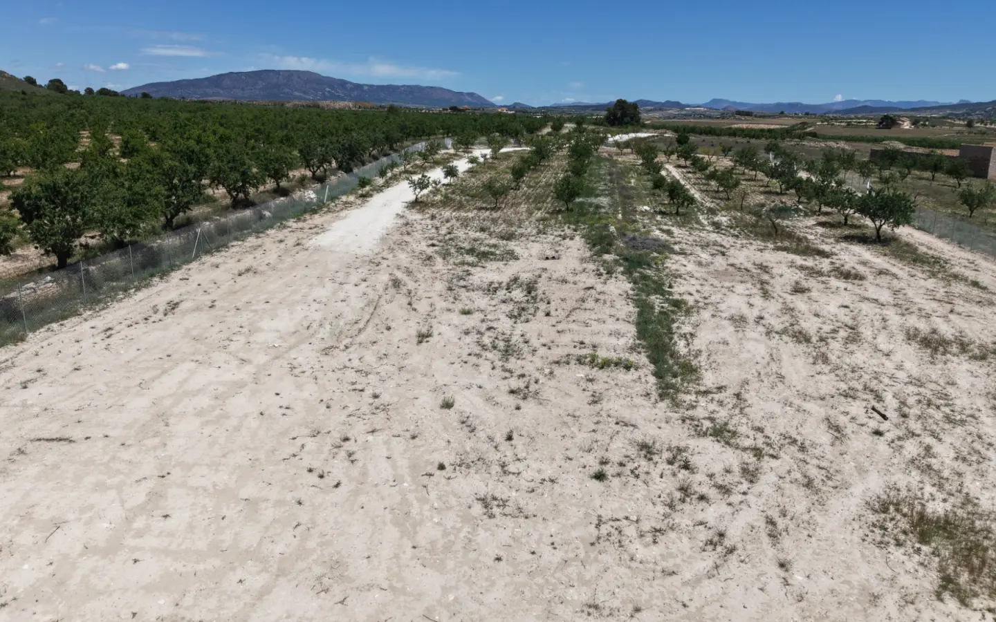 Land 0 M² In Pinoso, Spain
