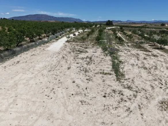 Land In Pinoso, Spain (17.589 M² Plot)