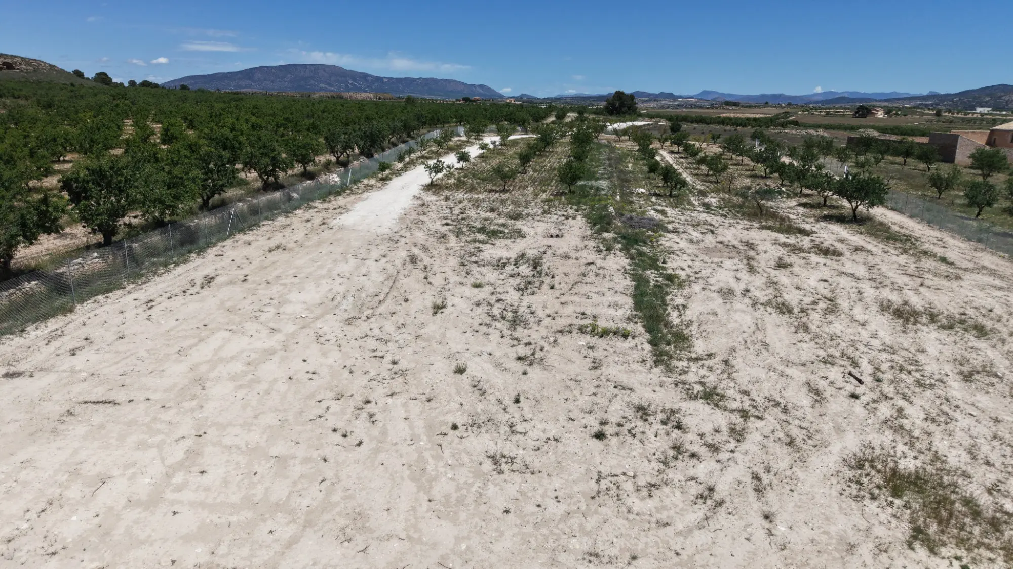 Land Of 0 M² In Pinoso, Spain
