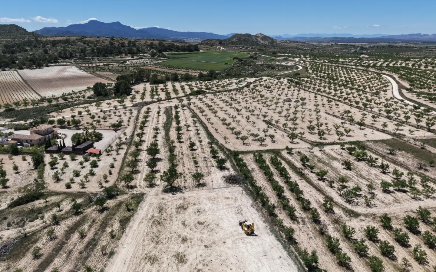 Land 0 M² In Pinoso, Spain
