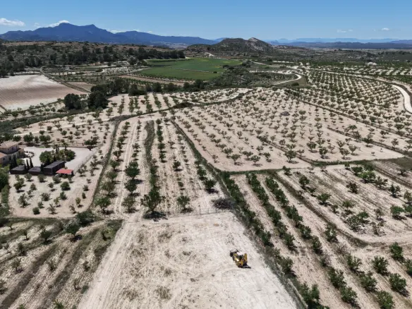 Land In Pinoso, Spain (17.589 M² Plot)