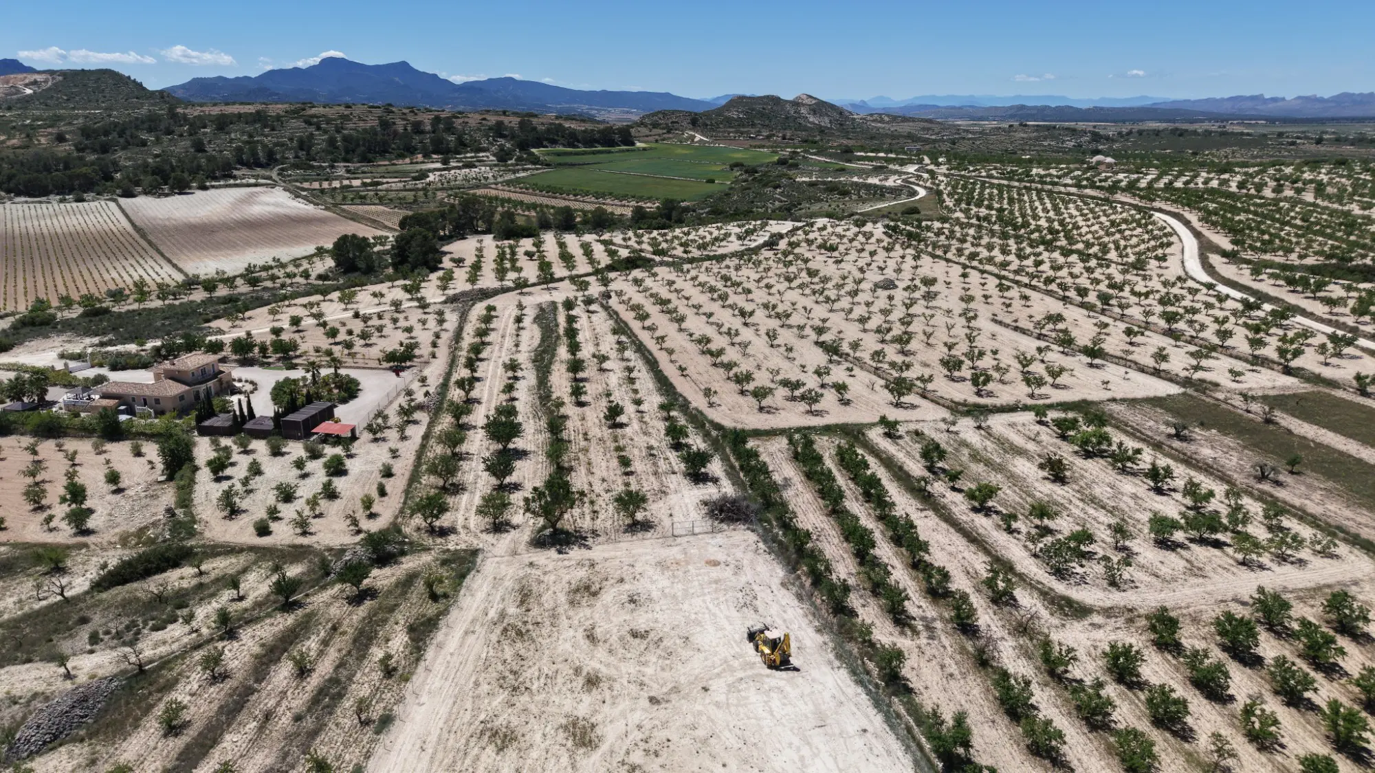 Land Of 0 M² In Pinoso, Spain