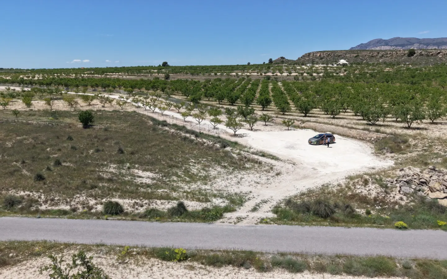 Land 0 M² In Pinoso, Spain