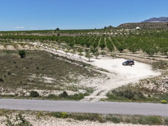 Land In Pinoso, Spain (17.589 M² Plot)
