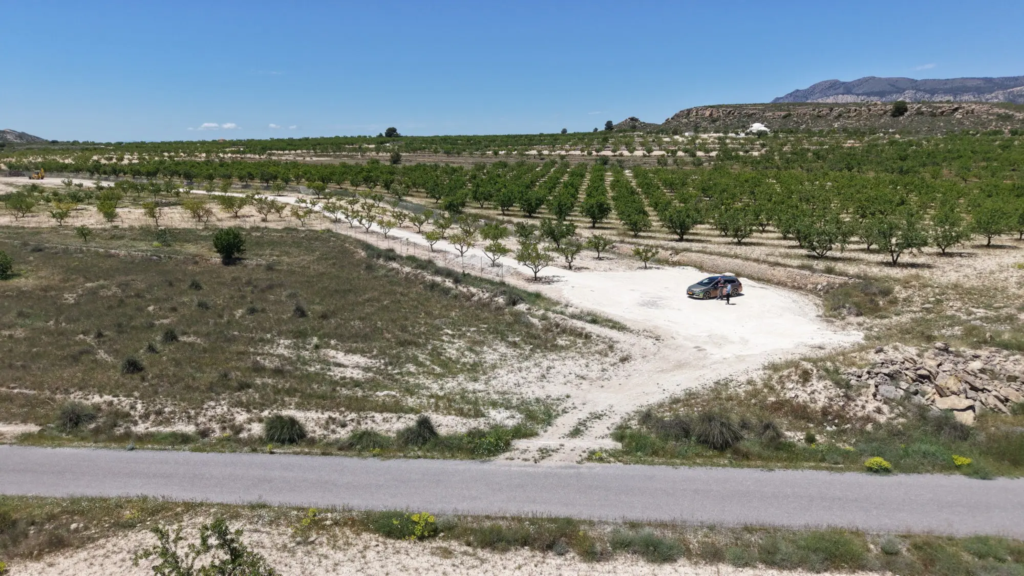 Land Of 0 M² In Pinoso, Spain