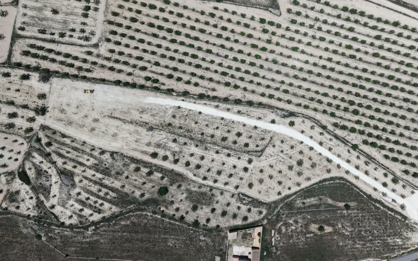 Land 0 M² In Pinoso, Spain